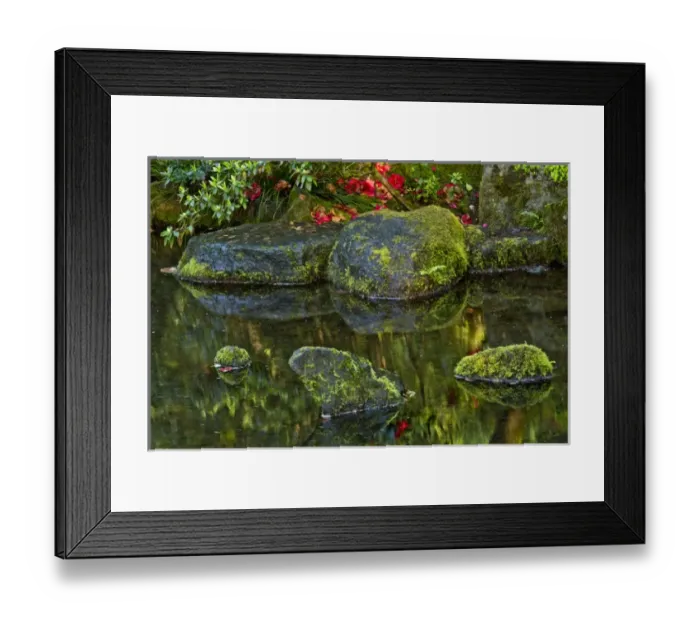 Framed Print : reflections, pond, natural garden, Portland Japanese Garden, Portland, USA Framed Print : reflections, pond, natural garden, Portland Japanese Garden, Portland, USA