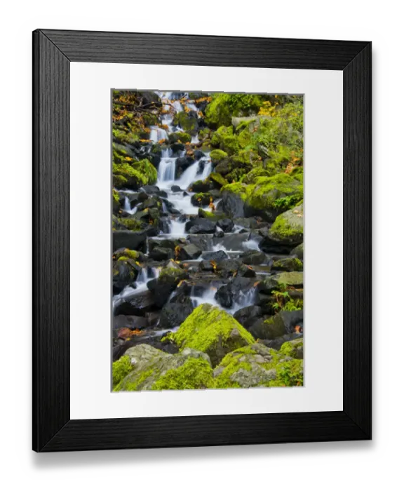 Framed Print : Autumn; Starvation Creek; Starvation Creek Falls; Columbia Gorhe. Oregon; USA Framed Print : Autumn; Starvation Creek; Starvation Creek Falls; Columbia Gorhe. Oregon; USA
