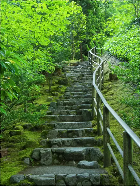 Stairs, Summer; Portland Japanese Garden; Portland; Oregon; USA