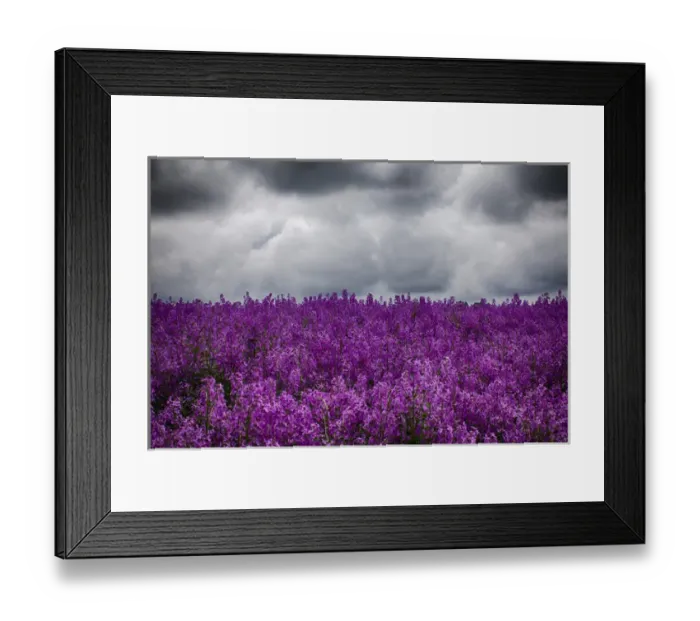 Framed Print : North America; USA; Oregon; Willamette Valley; Farming in the Willamette Valley of Oregon Framed Print : North America; USA; Oregon; Willamette Valley; Farming in the Willamette Valley of Oregon