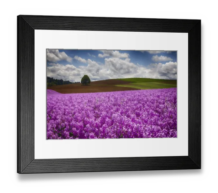 Framed Print : North America; USA; Oregon; Willamette Valley; Farming in the Willamette Valley of Oregon