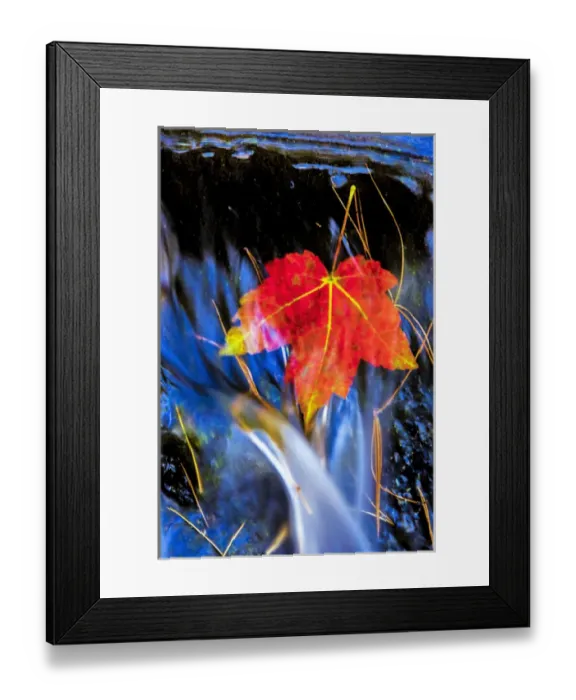 Framed Print : USA, Pennsylvania, Delaware Watergap National Recreational Area. Maple leaf in waterfall Framed Print : USA, Pennsylvania, Delaware Watergap National Recreational Area. Maple leaf in waterfall