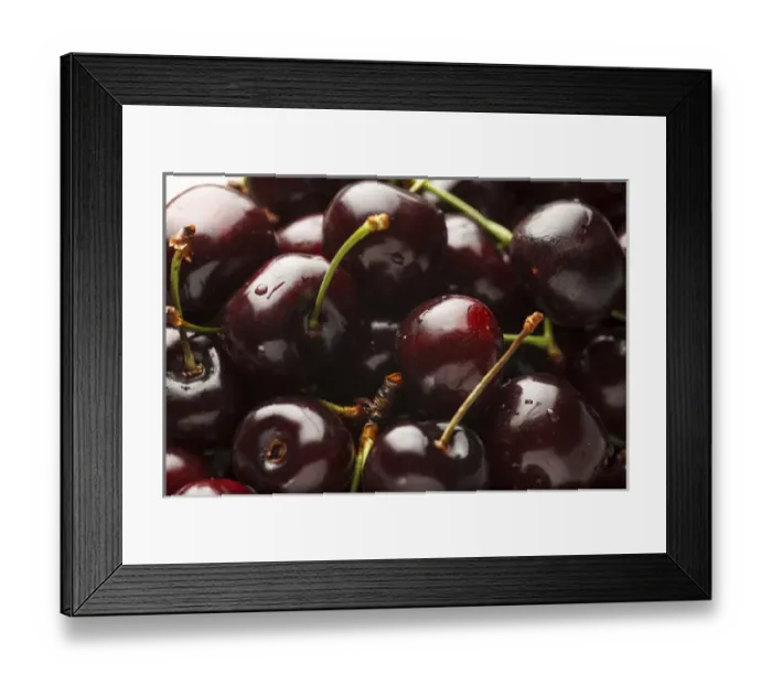 Framed Print : USA, Oregon, Keizer, dark cherries Framed Print : USA, Oregon, Keizer, dark cherries