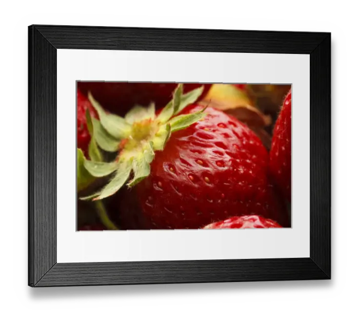 Framed Print : USA, Oregon, Keizer, locally grown strawberry Framed Print : USA, Oregon, Keizer, locally grown strawberry
