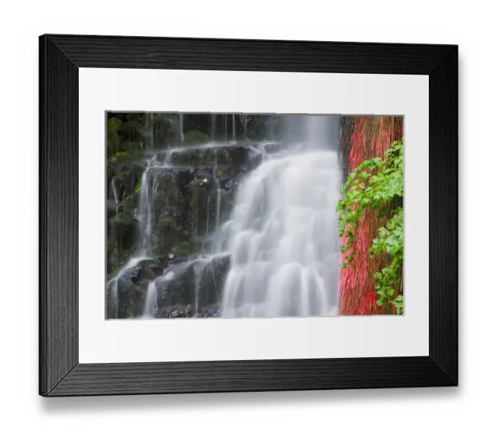 Framed Print : Coopey Falls, Columbia River Gorge National Scenic Area, Oregon USA