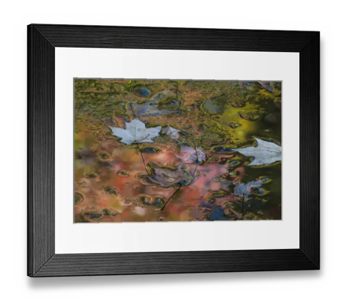 Framed Print : North America, USA, Pennsylvania. Autumn reflections and colorful abstract designs on Hidden Lake