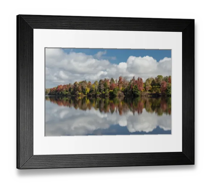 Framed Print : North America, USA, Pennsylvania, Ricketts Glen State Park Framed Print : North America, USA, Pennsylvania, Ricketts Glen State Park