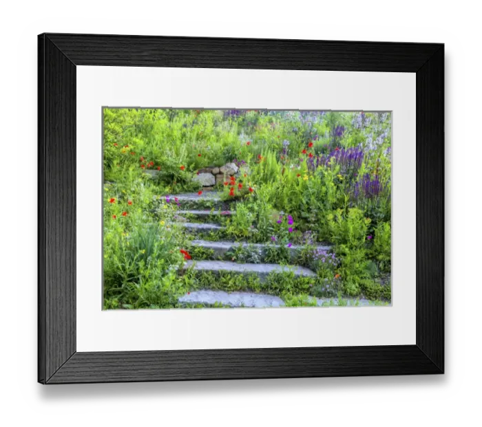 Framed Print : USA, Wayne, Pennsylvania. Summer flowers in Chanticleer Garden Framed Print : USA, Wayne, Pennsylvania. Summer flowers in Chanticleer Garden