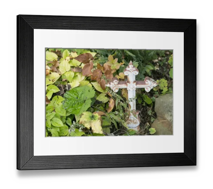Framed Print : Pittsburgh, PA. USA. Fall on the farm Framed Print : Pittsburgh, PA. USA. Fall on the farm
