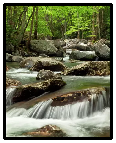 USA, Tennessee, Great Smoky Mountains National Park, Little Pigeon River at Greenbrier