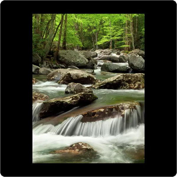 USA, Tennessee, Great Smoky Mountains National Park, Little Pigeon River at Greenbrier