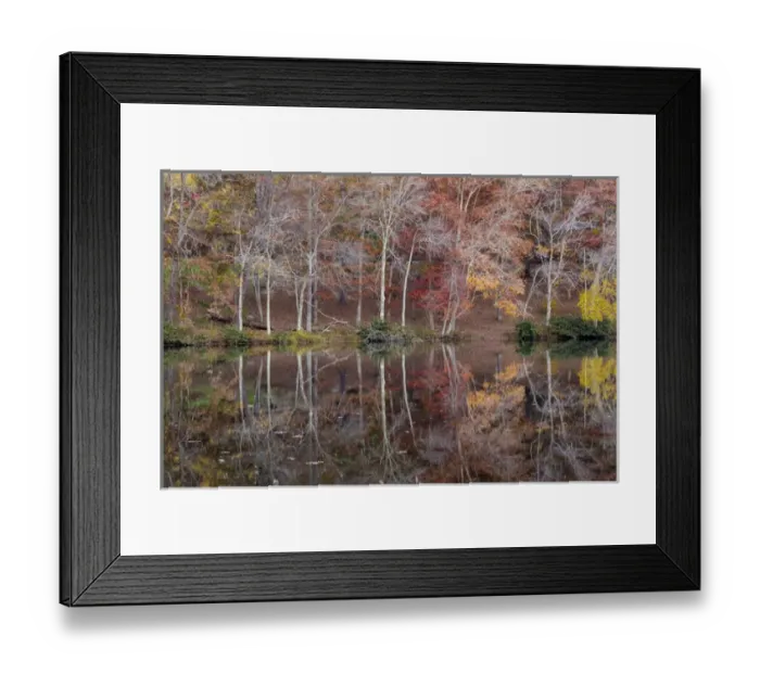 Framed Print : USA, Tennessee, Cumberland Mountain State Park. Byrd Lake, , Tennessee Credit as