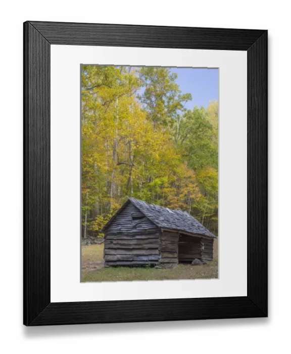 Framed Print : Tennessee, Great Smoky Mountains National Park, Roaring Fork Motor Nature Trail Framed Print : Tennessee, Great Smoky Mountains National Park, Roaring Fork Motor Nature Trail