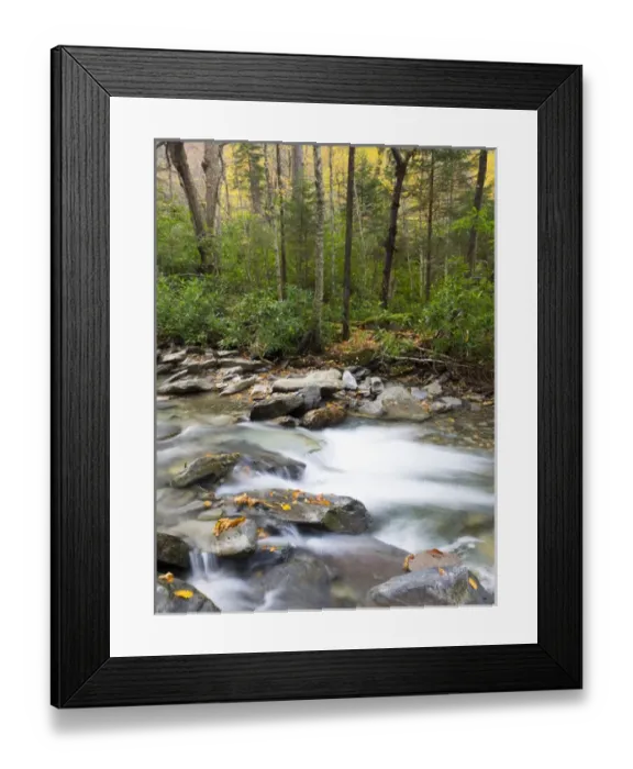 Framed Print : Tennessee, Great Smoky Mountains National Park, Alum Cave Creek