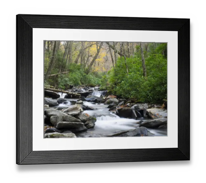 Framed Print : Tennessee, Great Smoky Mountains National Park, Alum Cave Creek Framed Print : Tennessee, Great Smoky Mountains National Park, Alum Cave Creek