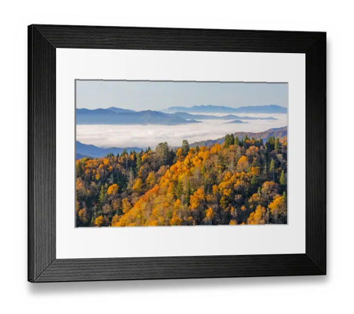 Framed Print : Tennessee / North Carolina, Great Smoky Mountains National Park, Newfound Gap Framed Print : Tennessee / North Carolina, Great Smoky Mountains National Park, Newfound Gap