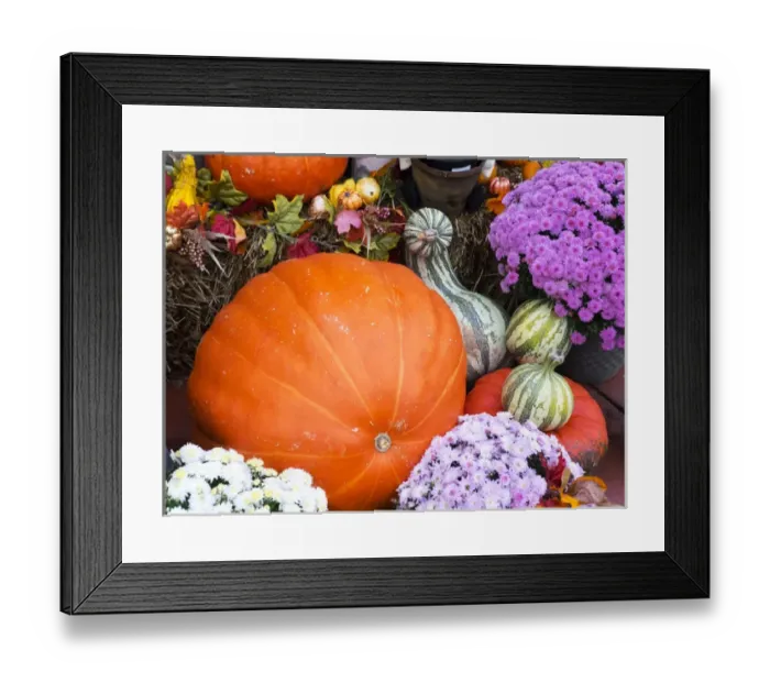 Framed Print : Tennessee, Gatlinburg, Halloween decorations Framed Print : Tennessee, Gatlinburg, Halloween decorations