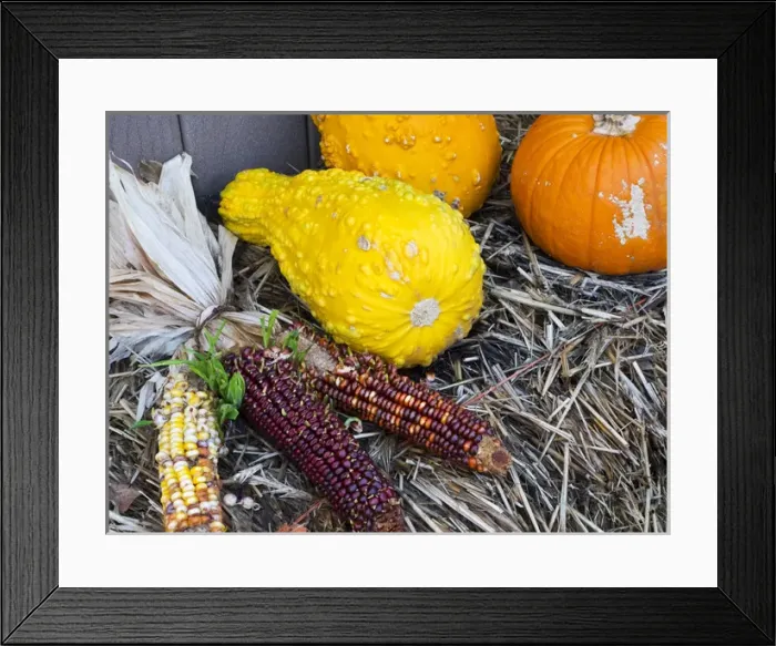 Framed Print : Tennessee, Gatlinburg, Halloween decorations Framed Print : Tennessee, Gatlinburg, Halloween decorations