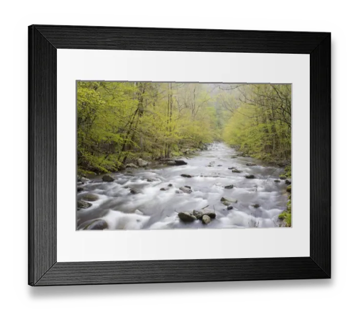 Framed Print : Middle Prong of the Little River in spring, Tremont Area, Great Smoky Mountain National Park Framed Print : Middle Prong of the Little River in spring, Tremont Area, Great Smoky Mountain National Park