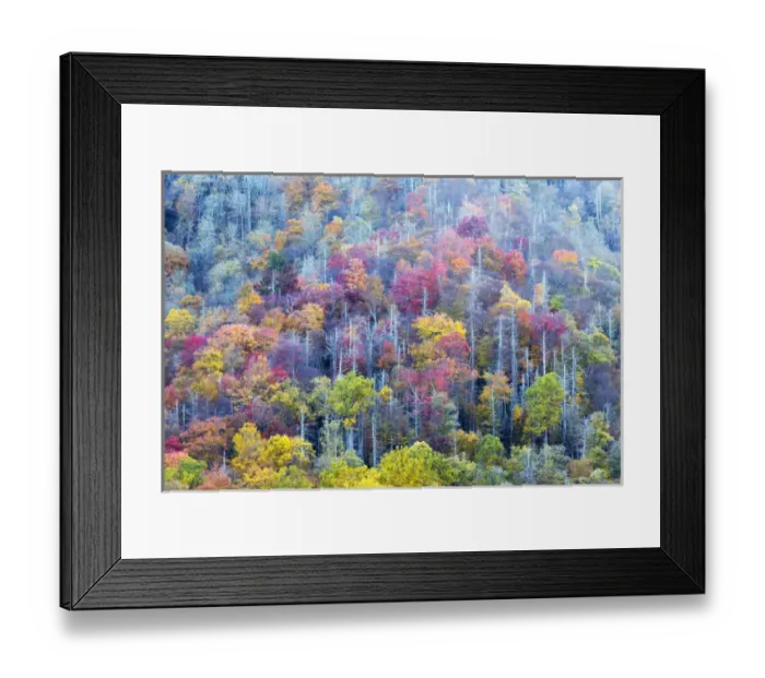 Framed Print : Tennessee, Great Smoky Mountains National Park, view along Newfound Gap Road
