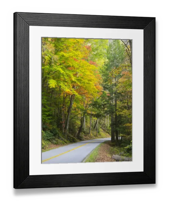 Framed Print : Tennessee, Great Smoky Mountains National Park, view along Little River Road Framed Print : Tennessee, Great Smoky Mountains National Park, view along Little River Road