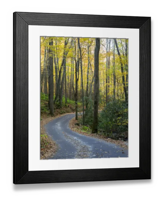 Framed Print : Tennessee, Great Smoky Mountains National Park, Roaring Fork Motor Nature Trail Framed Print : Tennessee, Great Smoky Mountains National Park, Roaring Fork Motor Nature Trail