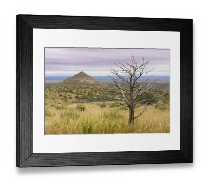 Framed Print : USA, Texas, Guadalupe Mountains National Park. Dead tree and small mountain. Credit as Framed Print : USA, Texas, Guadalupe Mountains National Park. Dead tree and small mountain. Credit as
