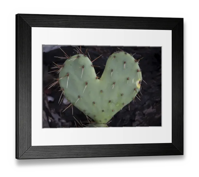 Framed Print : USA, Texas, Guadalupe Mountains National Park. Heart- shaped prickly-pear cactus