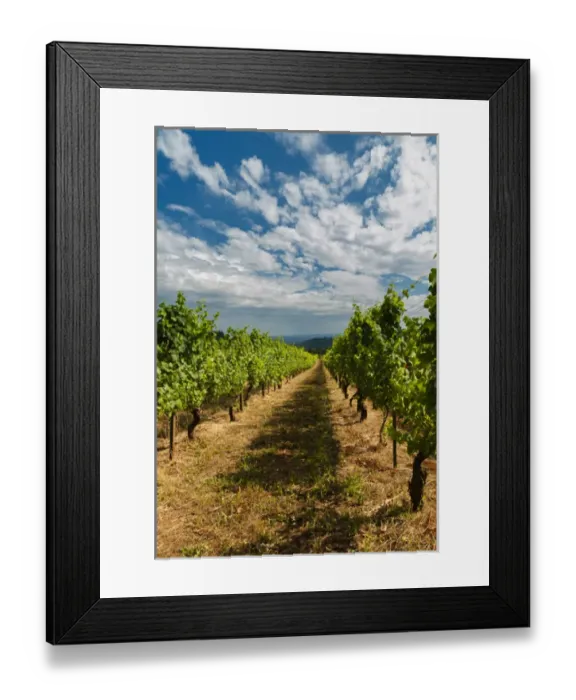 Framed Print : USA, Oregon, Dundee. Torii Mor Winery and vineyard in Dundee Hills, OR Framed Print : USA, Oregon, Dundee. Torii Mor Winery and vineyard in Dundee Hills, OR