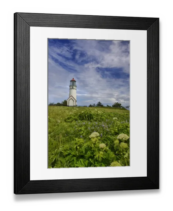 Framed Print : North America; USA Oregon; Cape Blanco Lighthouse on the Oregon Cpastline with clouds Framed Print : North America; USA Oregon; Cape Blanco Lighthouse on the Oregon Cpastline with clouds