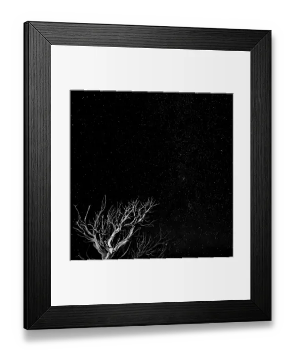 Framed Print : USA, Utah, Capitol Reef National Park. Dead tree and night sky Framed Print : USA, Utah, Capitol Reef National Park. Dead tree and night sky