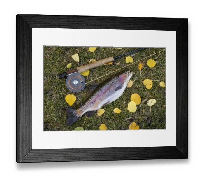 Framed Print : USA, Utah, Fishlake National Forest. Rainbow trout and fly rod