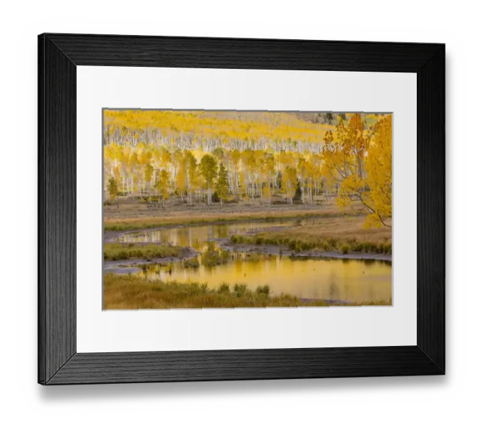 Framed Print : USA, Utah, Fishlake National Forest. Ponds and forest landscape Framed Print : USA, Utah, Fishlake National Forest. Ponds and forest landscape