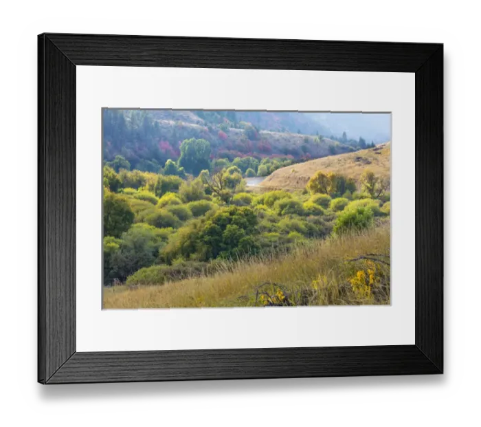 Framed Print : USA, Utah, Wasatch Mountains. Hardware Ranch Road in forest Framed Print : USA, Utah, Wasatch Mountains. Hardware Ranch Road in forest