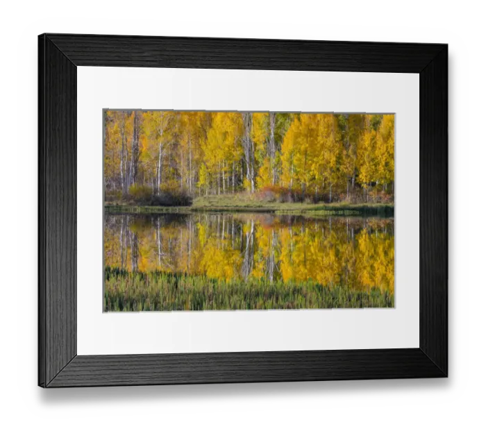 Framed Print : USA, Utah, Fishlake National Forest. Round Lake scenic Framed Print : USA, Utah, Fishlake National Forest. Round Lake scenic