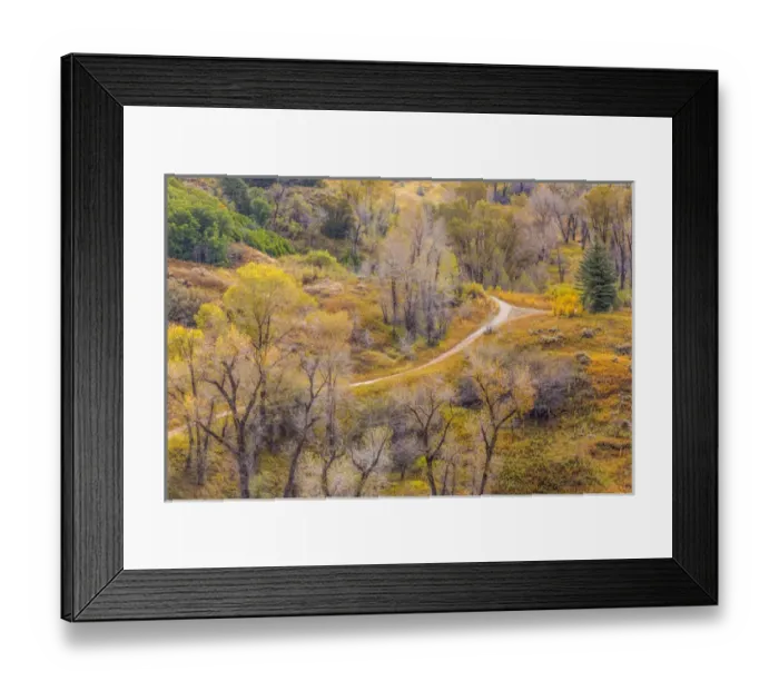 Framed Print : USA, Utah, Wasatch Mountains. Landscape of trail in forest Framed Print : USA, Utah, Wasatch Mountains. Landscape of trail in forest