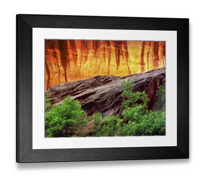 Framed Print : USA Utah Escalante Neon Canyon and Foliage Framed Print : USA Utah Escalante Neon Canyon and Foliage