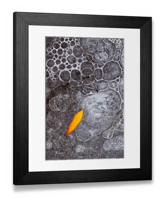 Framed Print : North America, USA, Utah, Mill Creek, Abstract nature Framed Print : North America, USA, Utah, Mill Creek, Abstract nature