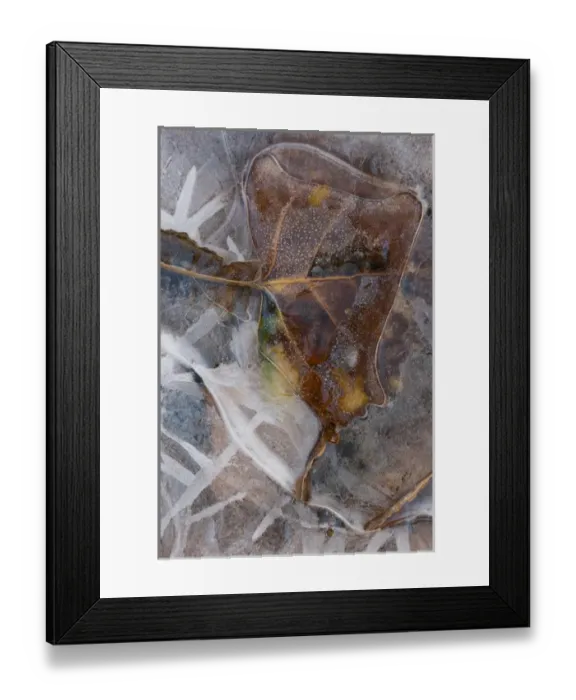Framed Print : North America, USA, Utah, Abstract Nature. Abstract design of frozen ice patterns Framed Print : North America, USA, Utah, Abstract Nature. Abstract design of frozen ice patterns