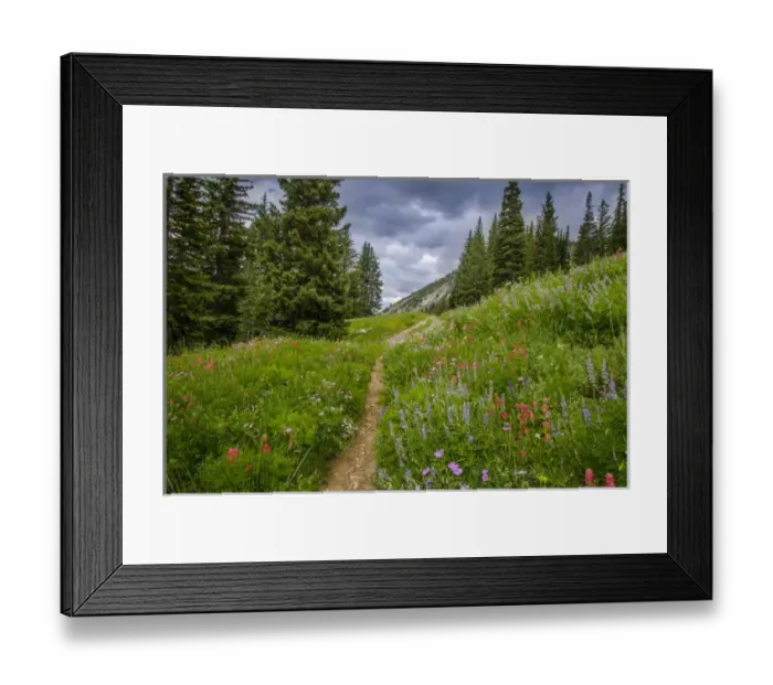 Framed Print : Wildflowers in the Albion basin, Uinta Wasatch Cache Mountains, Utah