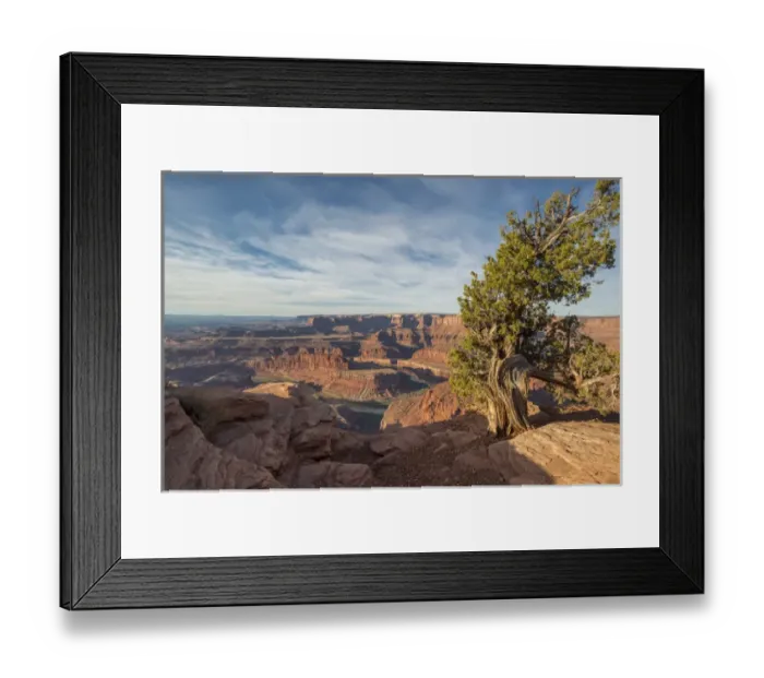 Framed Print : Juniper Tree, Dead Horse Point State Park Framed Print : Juniper Tree, Dead Horse Point State Park