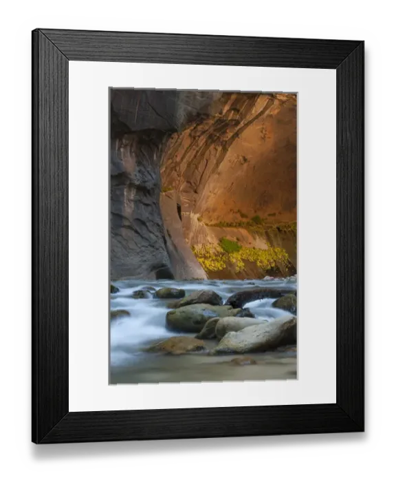 Framed Print : North America, USA, Utah, Zion National Park. Autumn foliage on wall inside the Narrows Framed Print : North America, USA, Utah, Zion National Park. Autumn foliage on wall inside the Narrows