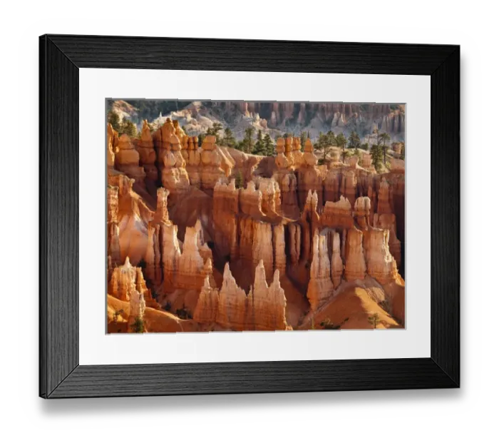 Framed Print : USA, Utah, Bryce Canyon National Park, Morning light on hoodoos