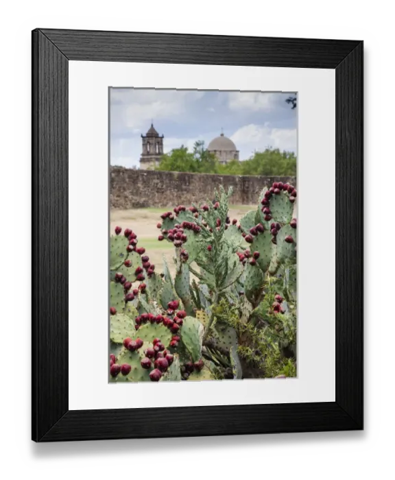 Framed Print : Mission San Jose Framed Print : Mission San Jose