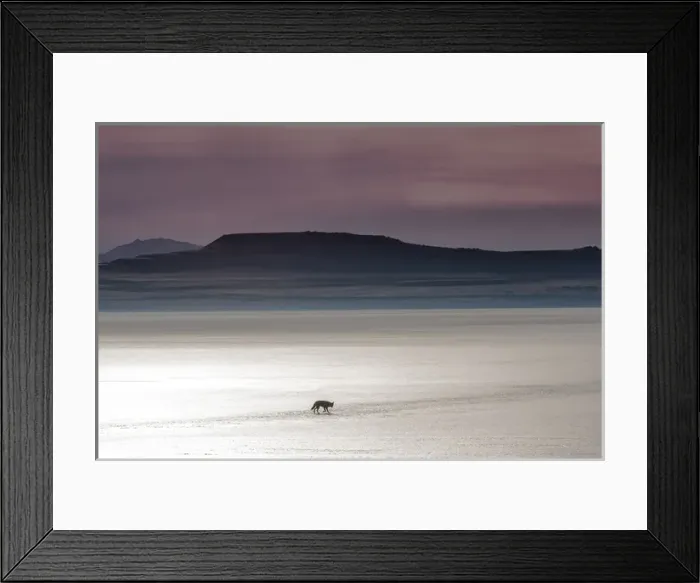 Framed Print : North America, USA, Utan, Antelope Island State Park Framed Print : North America, USA, Utan, Antelope Island State Park