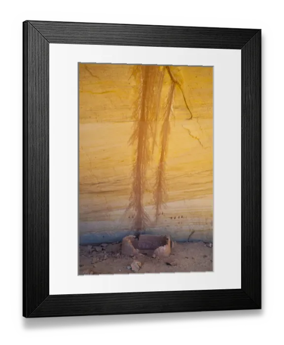 Framed Print : North America, USA, Utah, Natural Bridges National Monument. Ancient Grainery, pictographs