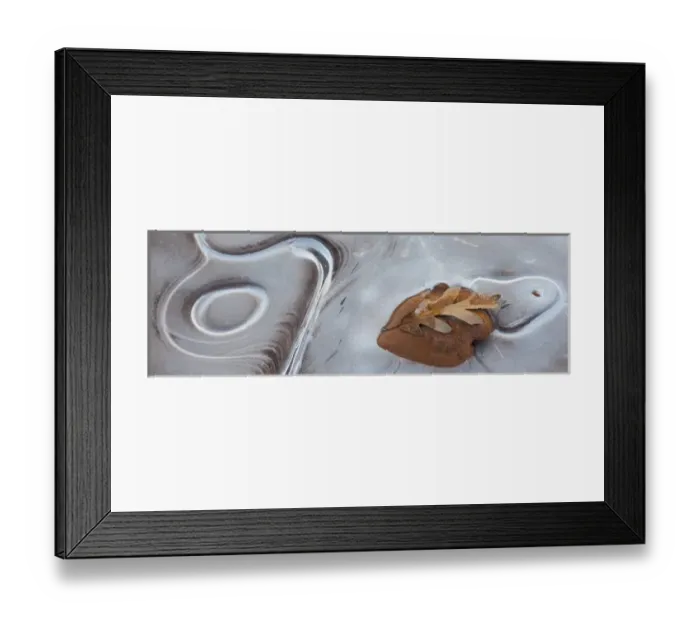Framed Print : North America, USA, Utah, Natural Bridges National Monument. Leaf with frozen ice pattern Framed Print : North America, USA, Utah, Natural Bridges National Monument. Leaf with frozen ice pattern