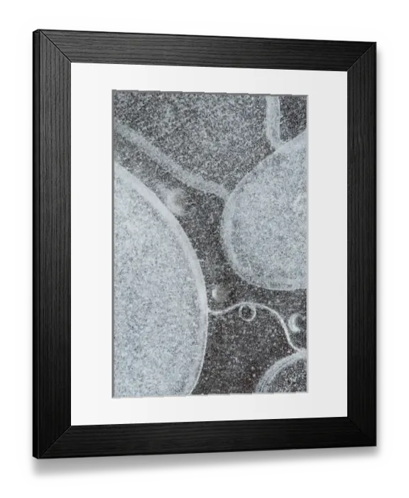 Framed Print : North America, USA, Utah. Abstract frozen ice pattern, Mill Creek, Moab, UT Framed Print : North America, USA, Utah. Abstract frozen ice pattern, Mill Creek, Moab, UT