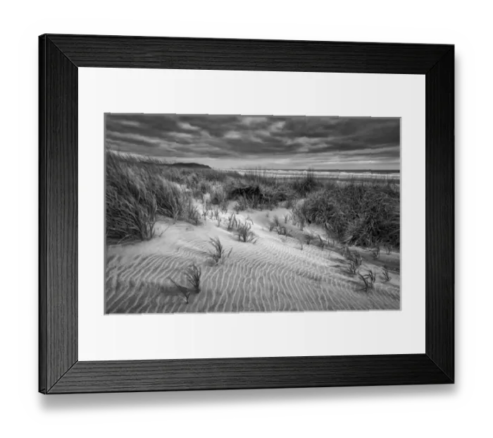 Framed Print : USA, Washington, Long Beach, Dusk on the beach dunes Framed Print : USA, Washington, Long Beach, Dusk on the beach dunes