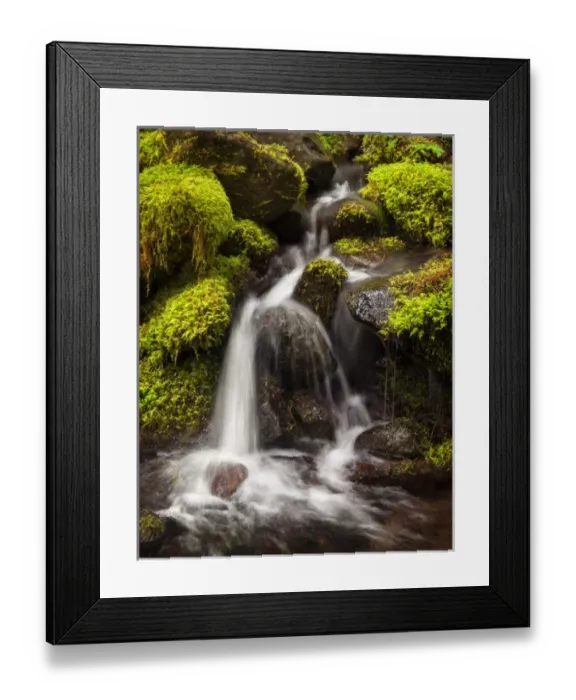 Framed Print : USA, Washington, Olympic National Park, Creek in Sol Duc Valley